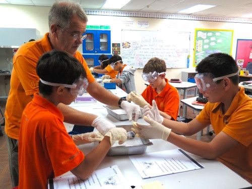 Raffles American School (RAS)