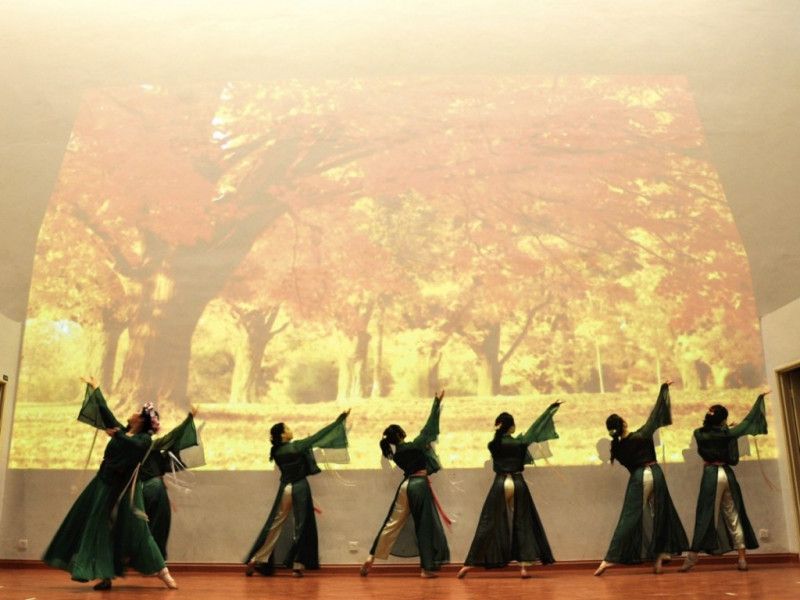 4-jasmineflowerdance