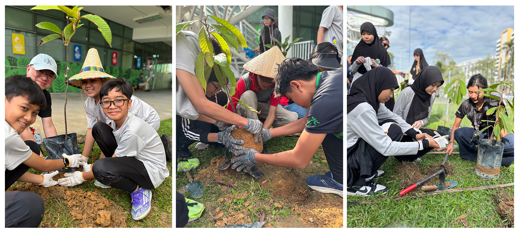 Earth Gives Us Trees, Bees and Breeze, Thank You Allah!