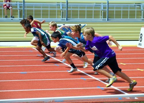 shutterstock_81563455