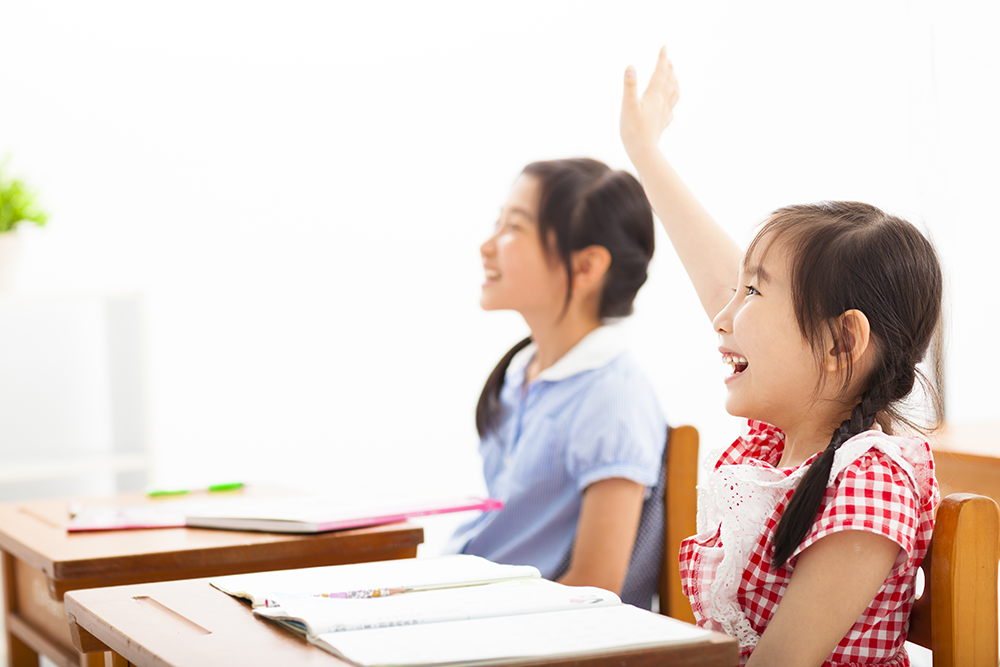 Private Learning Centres Offering International Curricula